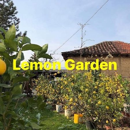 Auberge de jeunesse Lemon Garden à Naselba Dracevo Extérieur photo