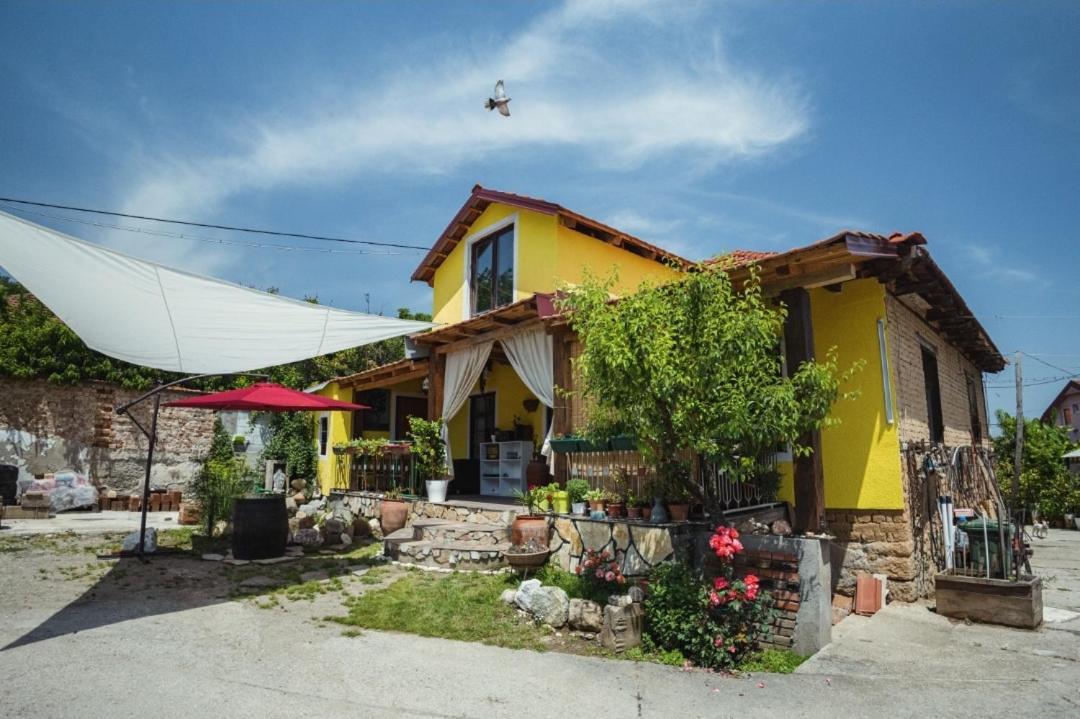 Auberge de jeunesse Lemon Garden à Naselba Dracevo Extérieur photo