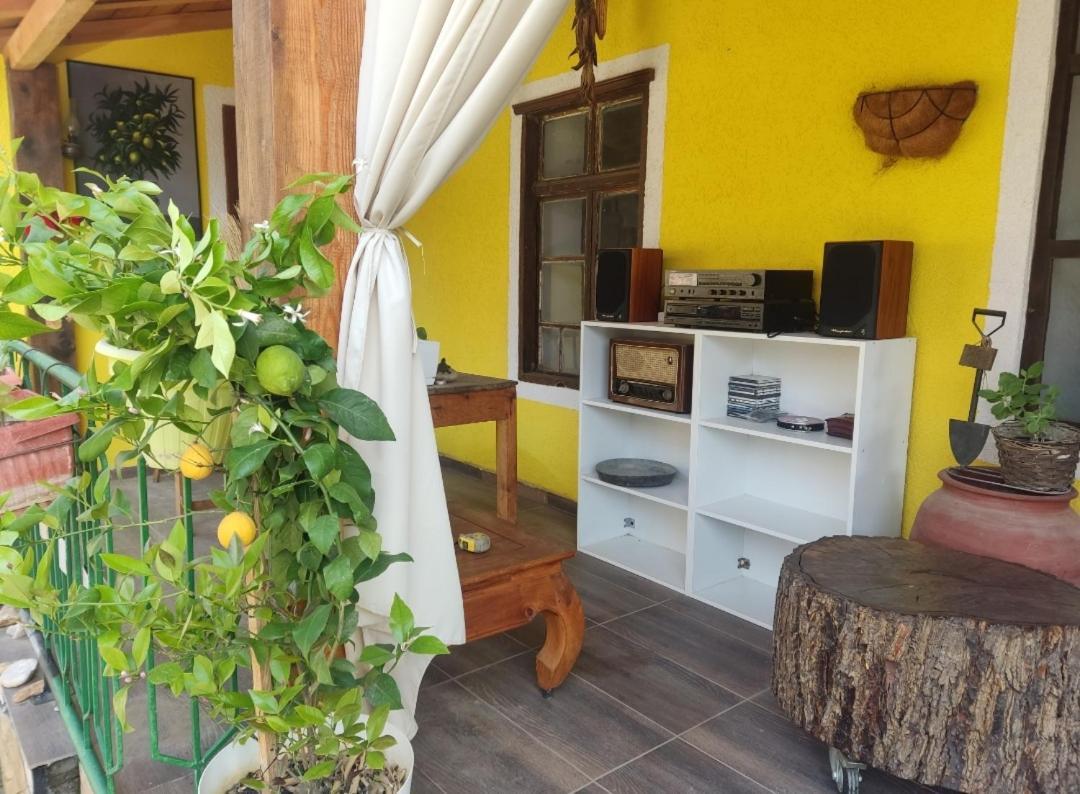 Auberge de jeunesse Lemon Garden à Naselba Dracevo Extérieur photo