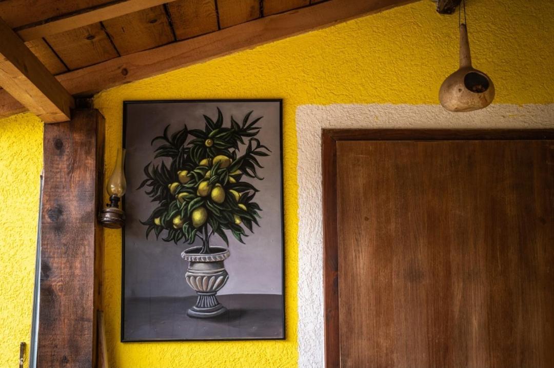 Auberge de jeunesse Lemon Garden à Naselba Dracevo Extérieur photo