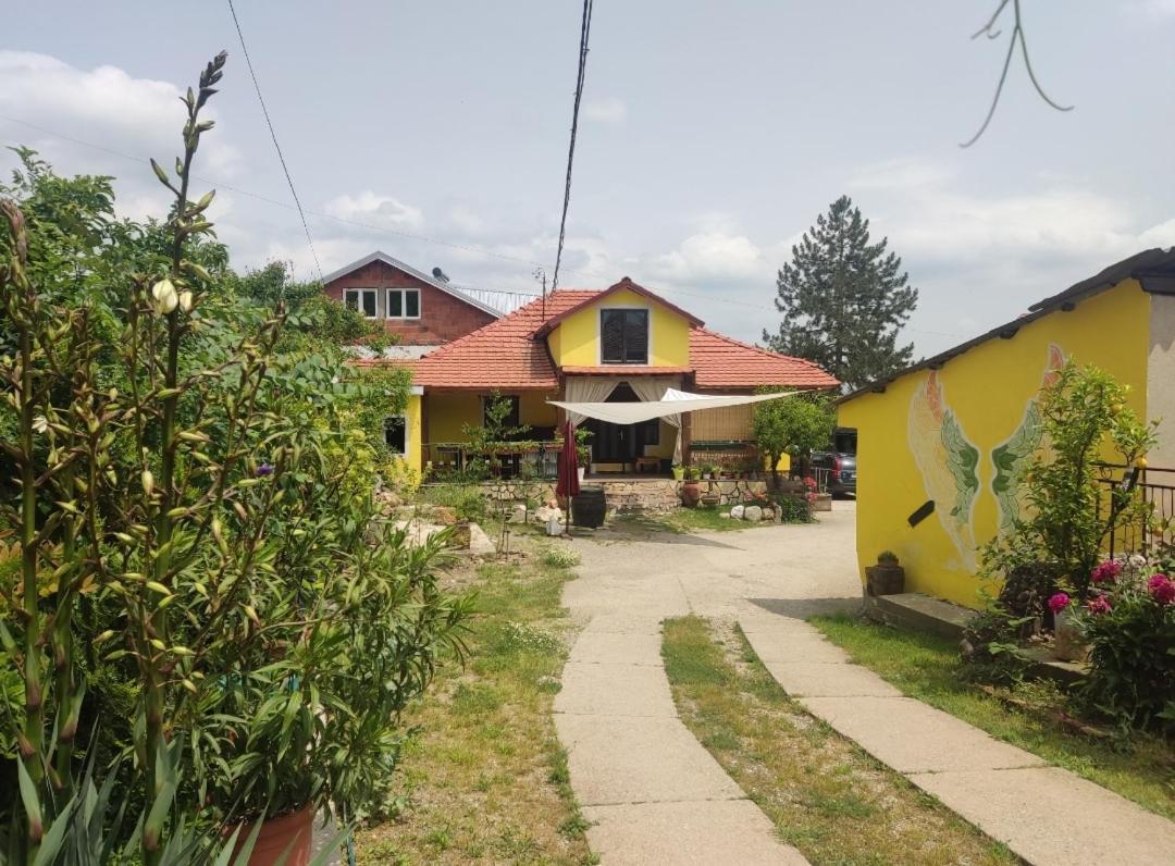 Auberge de jeunesse Lemon Garden à Naselba Dracevo Extérieur photo